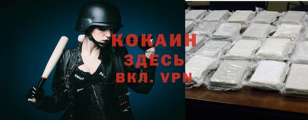 дурь Ельня
