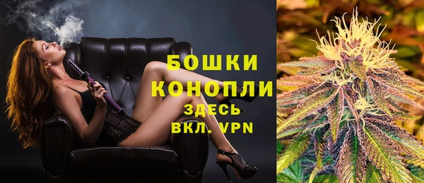 шишки Елабуга