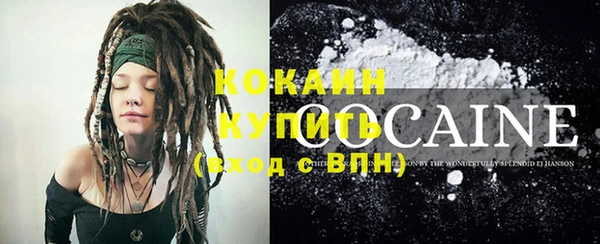 шишки Елабуга