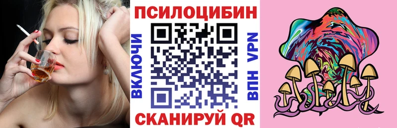 как найти наркотики  Кисловодск  KRAKEN вход  Галлюциногенные грибы Magic Shrooms 