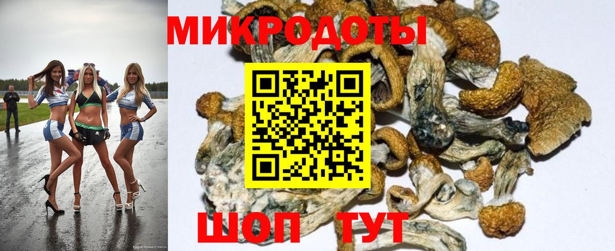 Галлюциногенные грибы GOLDEN TEACHER  Галлюциногенные грибы Cubensis  Кисловодск  Вход с VPN 