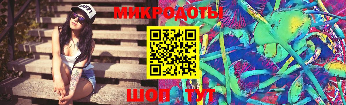 Псилоцибиновые грибы Cubensis Кисловодск